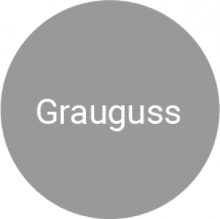 _wpframe_custom/gallery/files/wpf_sites_paragraphs_parts/t_icon_graugusspng_1561378365.png